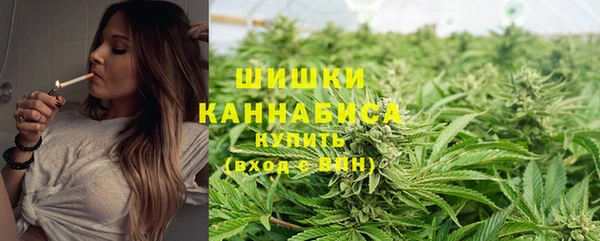 МДПВ Волосово