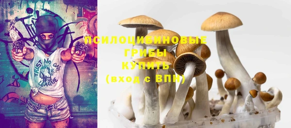 mdpv Волоколамск