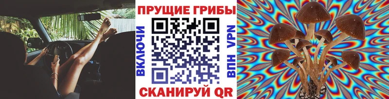 Псилоцибиновые грибы Psilocybine cubensis  купить наркотик  Дрезна 