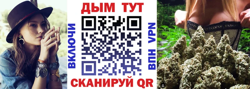 как найти Дрезна Канабис OG Kush